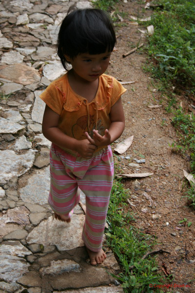 VietNam 20080728 159  